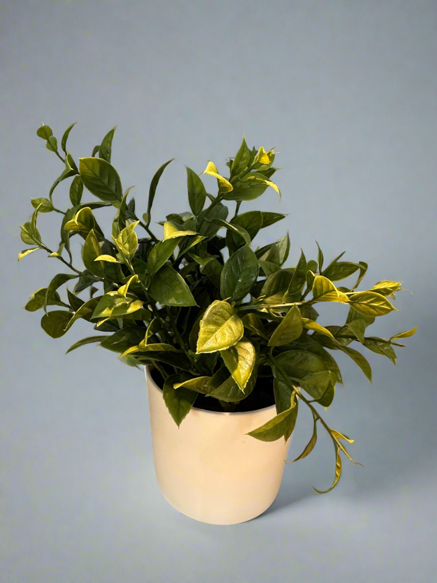 Our City Basket - Custom & Engraved