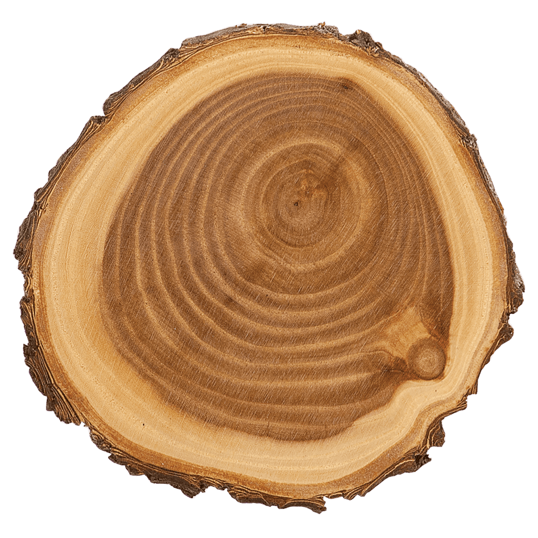 9" Old West Log Elmwood Wood Slice Plaque - Fully Customizable Engraved